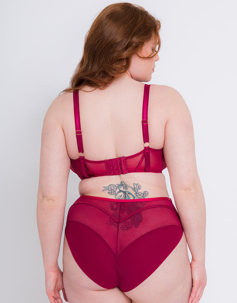 Scantilly Senses Plunge Bra Cherry