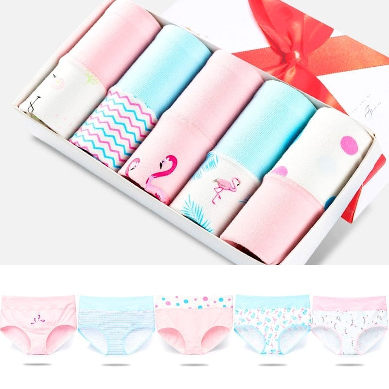 5Pcs/lot Women Panties High Waist Breathable Soft Cotton Underwear