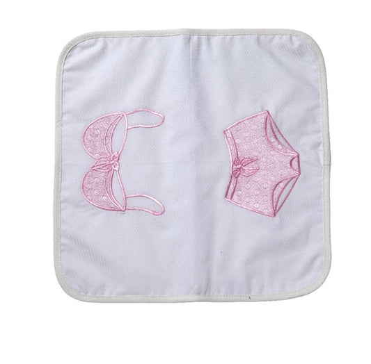 Travel Lingerie Bag