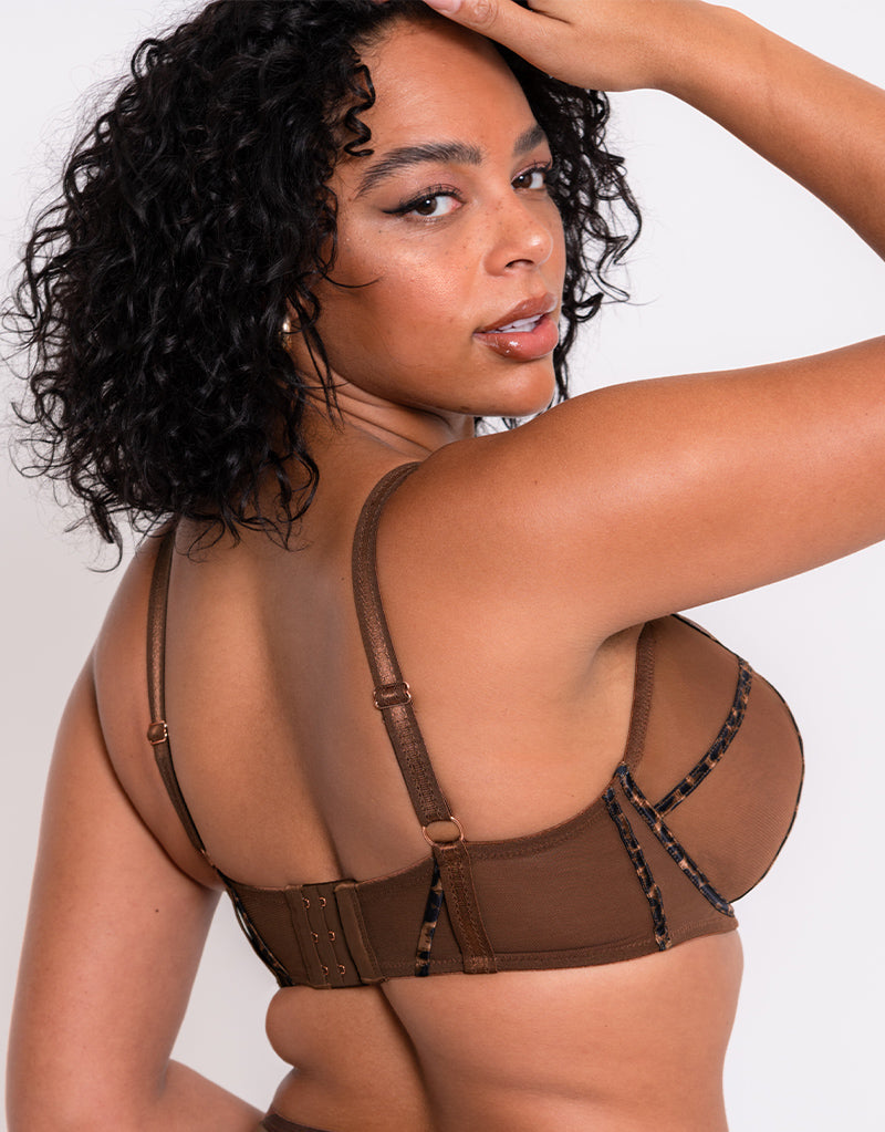 Scantilly Senses Plunge Bra Leopard Brown