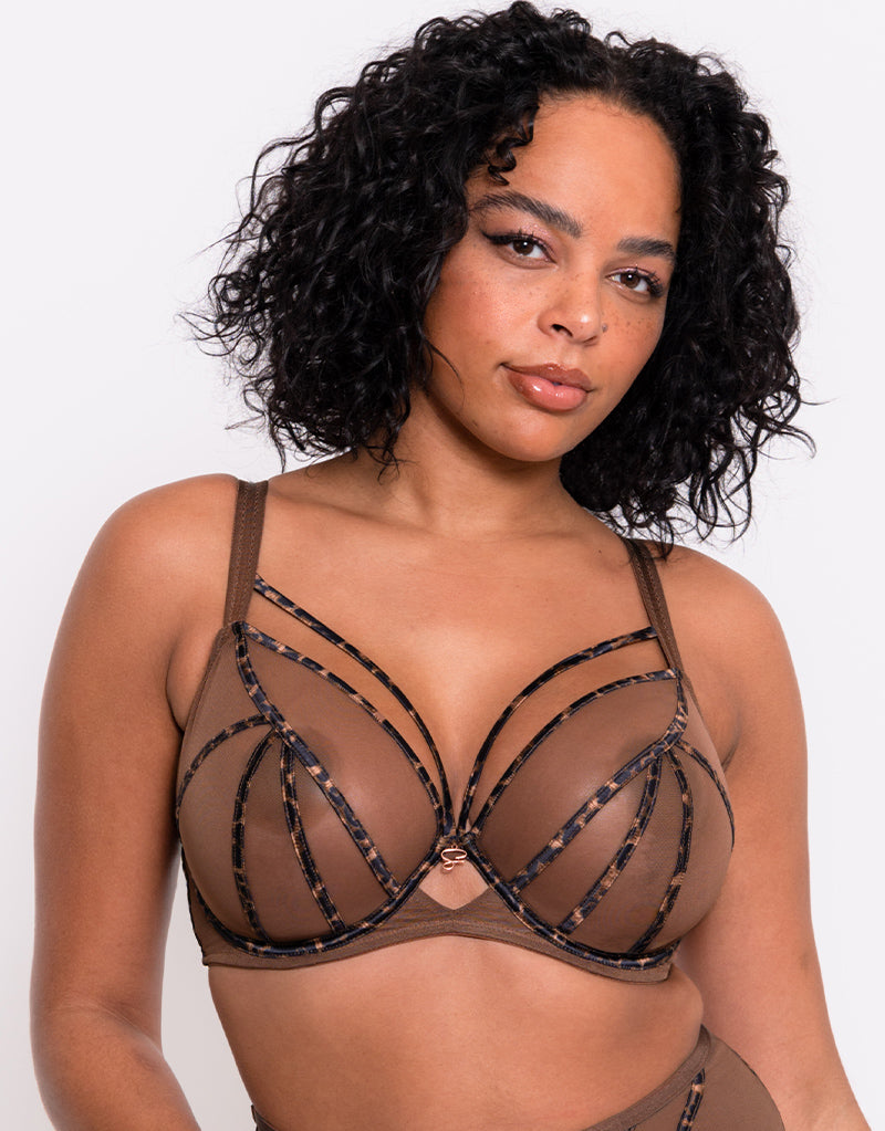 Scantilly Senses Plunge Bra Leopard Brown